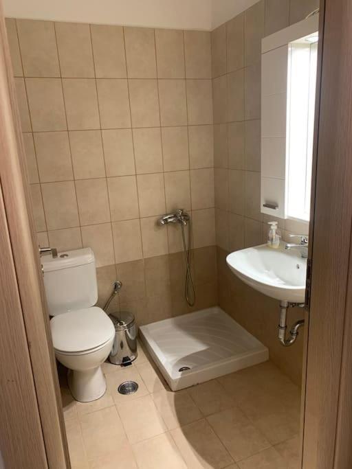 Apartmán Vasiliki's Ii *